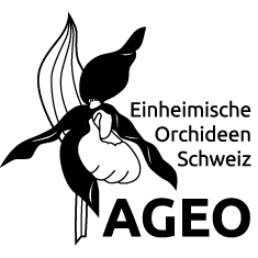 AGEO Logo