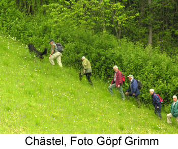 Foto Göpf Grimm