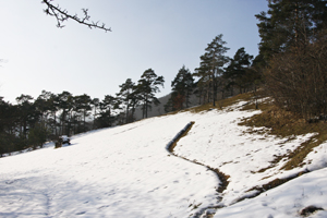 Winter Lehrpfad